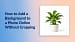 A photo of a green plant fitted inside a colored background canvas without cropping