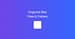 How to Organize Mac Files & Folders (Productivity Guide)